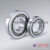 NSK 6204-Z/CS深沟球轴承天津辰阳玖宏轴承供应