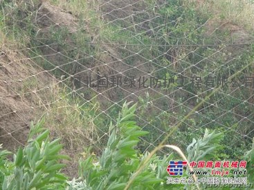 供应TECCO钢丝格栅网