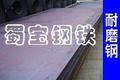 供应耐磨钢B-HARD360/400/450/500