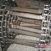 供应ABG423输料大链条