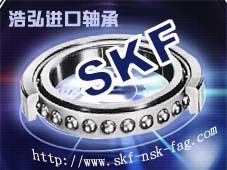 六盘水SKF进口轴承供应|贵阳六盘水NSK轴承销售价格