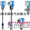 FDU93-RG2A物位计探头
