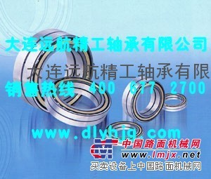 INA K9*12*13TN滚针和保持架组件