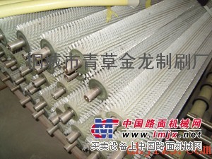 金龙制刷厂专业生产清洗毛刷辊毛刷滚