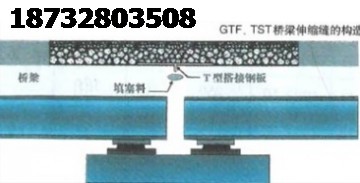 超级美佳伸缩缝高伸缩强度无缝TST伸缩缝中精品