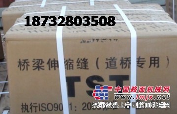 BJ200桥梁无伸缩缝tst强力弹性保证伸缩量缝