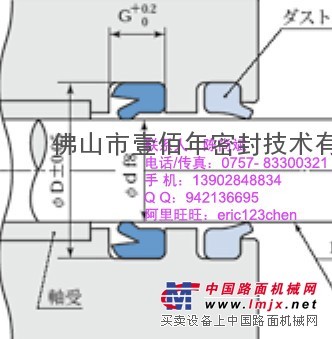 日本阪上PPY 