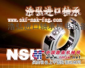 丽江NSK进口轴承型号|文山临沧SKF进口轴承价格
