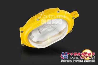 内场防爆强光泛光灯