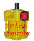 超低噪QT內齧合齒輪泵QT52-63F/A