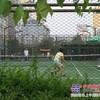 勾花体育场围网，勾花篮球场围网