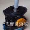 供应美国丹尼逊DENISON叶片泵.