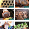 冷凝器清洗剂 