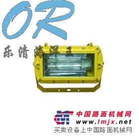 BFC8100 防爆外场强光泛光灯 