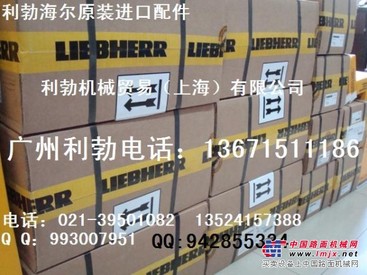 海南利勃海尔挖掘机配件，海南利勃海尔吊车配件