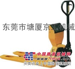 广东佛山液压式电子秤手动搬运车