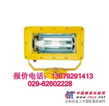 供应【BFC8100】防爆外场强光泛光灯 西安直销