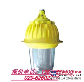 供应 BFC8930 粉尘防爆内场强光泛光灯,西安直销
