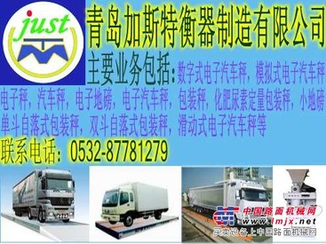 电子防爆秤、轻轨衡、皮带秤、平台秤、定量包装秤/销售2部