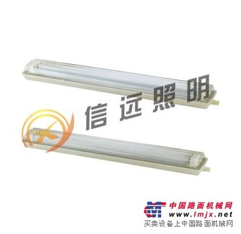  粉尘防爆防腐单管荧光灯
