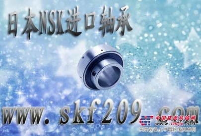 供应湘潭市德国INA外球面轴承203-KRR原装销售中心