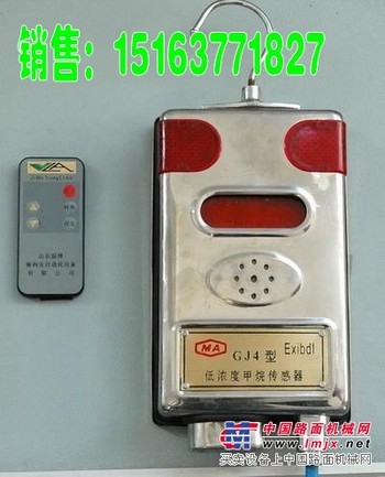 供应济宁东亚高低浓度甲烷传感器