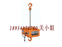 供应日本TOYO东洋倒挂环链电动葫芦