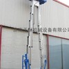 供应双桅柱豪华铝合金式升降平台