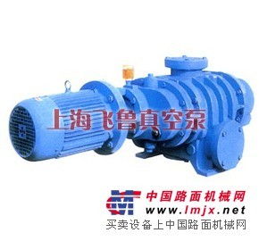 供應ZJ型羅茨真空泵-上海真空泵廠家、價格、原理、型號