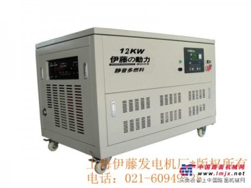 12kw發電機 汽油發電機 天然氣發電機 液化氣發電機