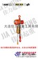 YSS-300-CH黑熊电动葫芦 大连佳力优质服务,值得信赖