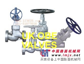 供应美国进口进口高温高压截止-上海树典阀门