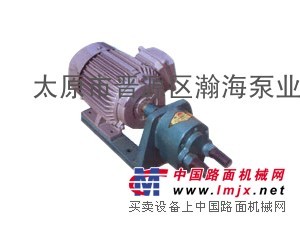 供应S型齿轮油泵