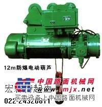 防爆电动葫芦大小眼Ф_ф