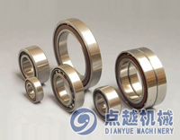 NSK  22313CCK/W33+H2313 进口轴承