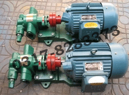 不锈钢齿轮泵 圆弧齿轮泵、圆弧泵、点火油泵