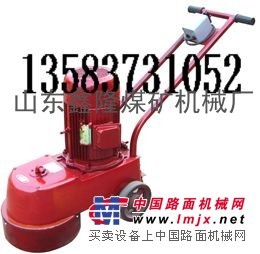 【DMS250型水磨石机，金钢石水磨石机，水磨机】