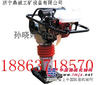 现货供应标准夯实机18863718570
