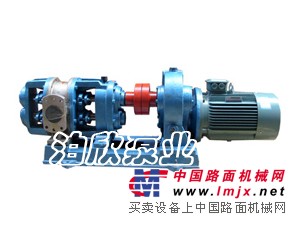 供应泊欣圆弧齿轮泵质优价廉
