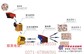 供应砂石设备生产线|石料生产线丰德|砂石配套设备供应