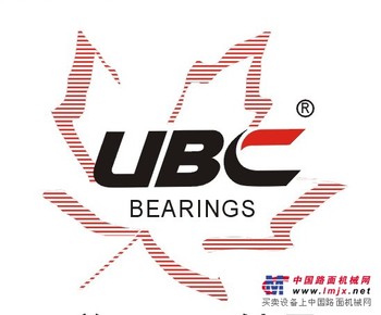 供应天津艾瑞德美国UBC进口轴承6021ZZ