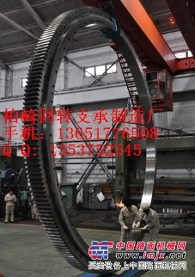 供應福田雷沃FR75-FR90-FR230挖掘機回轉支承