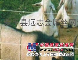  长期供应草原网养殖畜牧网|蒙古草原网|环绕型草原网 (精品)  
