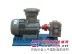 GZYB-3/3.5高精度重油煤焦油泵