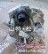 小松PC220-8柴油泵，喷油泵，哈尔滨小松挖机配件
