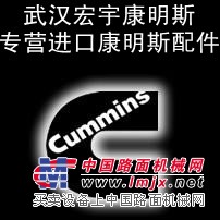 供應純正進口康明斯發動機配件湖北黃石代理商/批發商