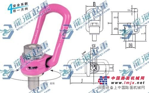 大噸位卸扣龍海起重為您提供型號規格原理