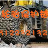 1800-25装载机轮胎保护链，天津保护链