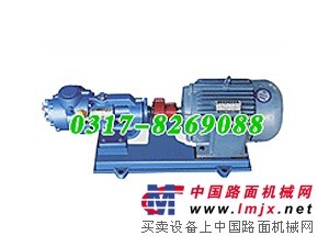型号齐全转子泵自主研发批发厂家