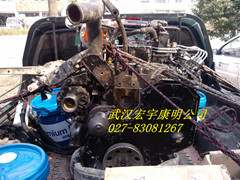 湖北武汉专业维修进口康明斯B3.9/B5.9/C8.3发动机
